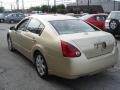 Champagne Mist Metallic - Maxima 3.5 SL Photo No. 7