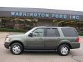 2004 Estate Green Metallic Ford Expedition XLT 4x4  photo #1