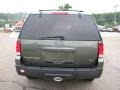 2004 Estate Green Metallic Ford Expedition XLT 4x4  photo #4