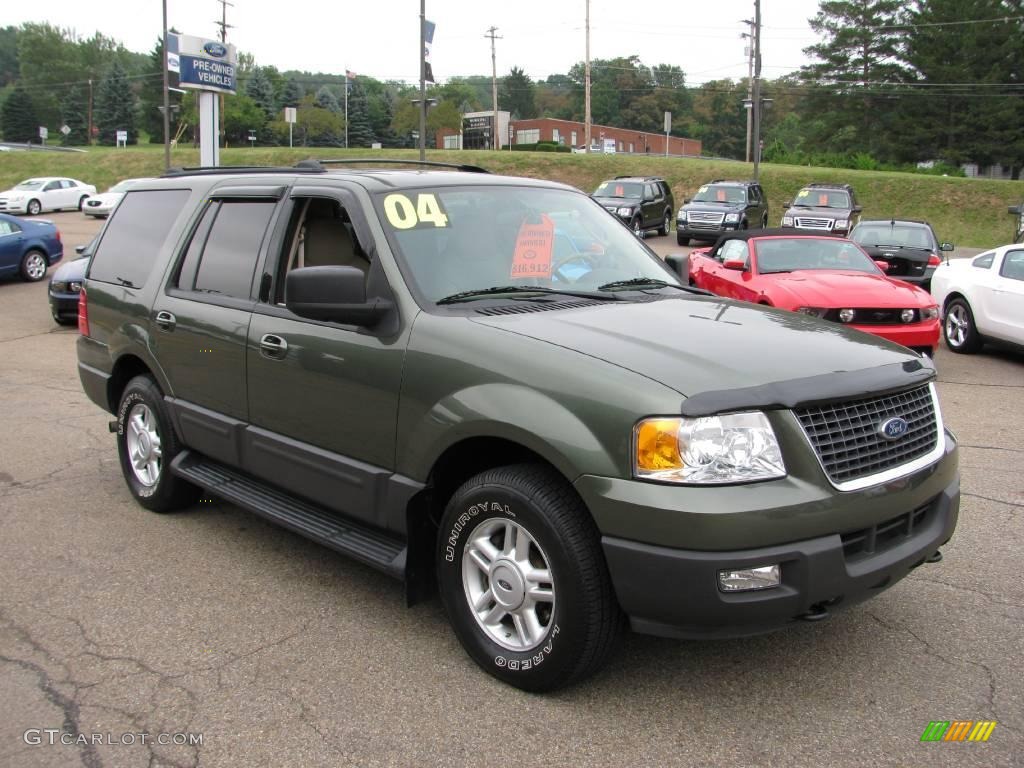 2004 Expedition XLT 4x4 - Estate Green Metallic / Medium Parchment photo #6