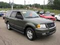 2004 Estate Green Metallic Ford Expedition XLT 4x4  photo #6