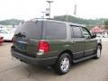 2004 Estate Green Metallic Ford Expedition XLT 4x4  photo #10