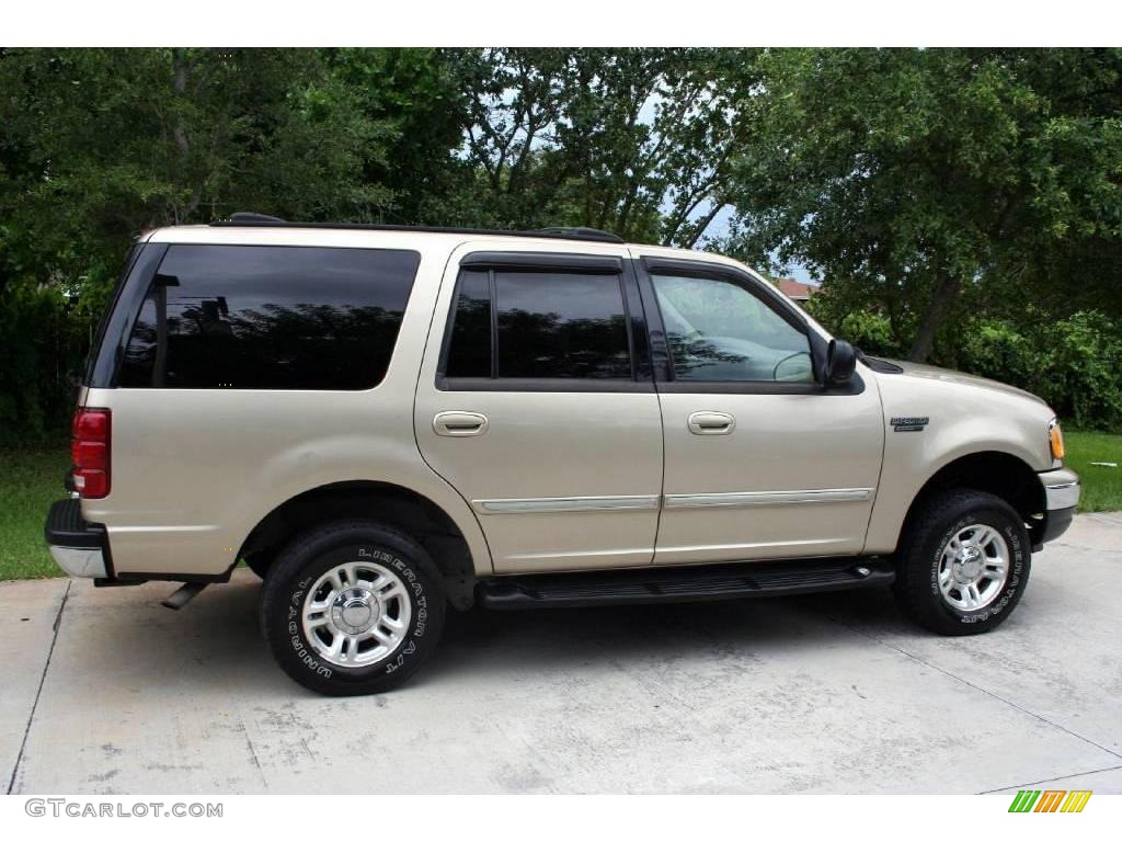 2000 Expedition XLT 4x4 - Harvest Gold Metallic / Medium Parchment photo #10