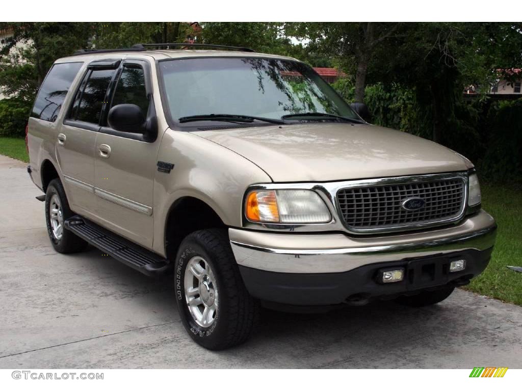 2000 Expedition XLT 4x4 - Harvest Gold Metallic / Medium Parchment photo #13