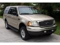 2000 Harvest Gold Metallic Ford Expedition XLT 4x4  photo #13