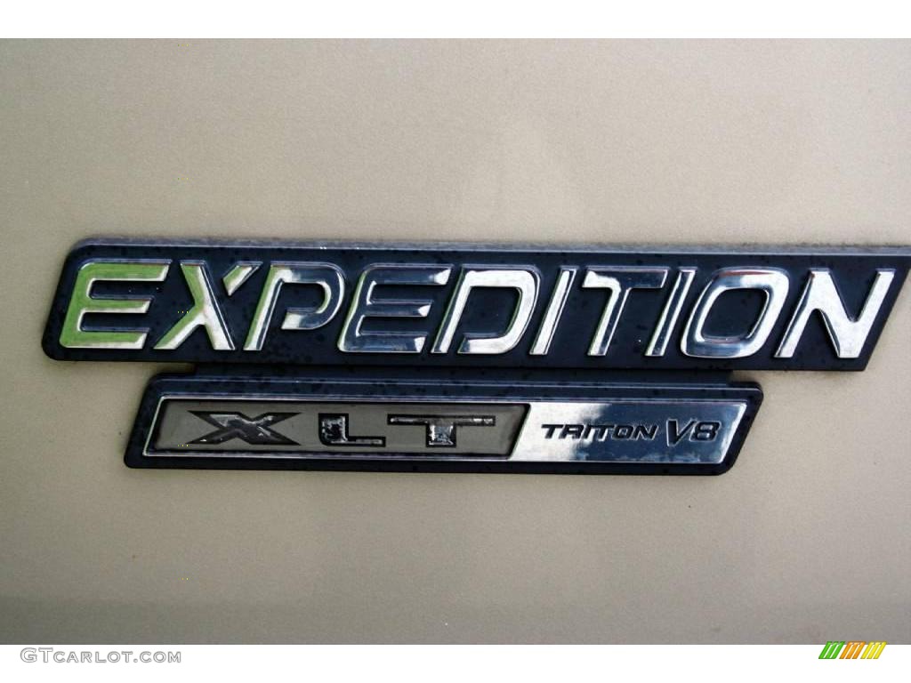 2000 Expedition XLT 4x4 - Harvest Gold Metallic / Medium Parchment photo #59