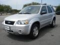 2005 Silver Metallic Ford Escape Limited 4WD  photo #1