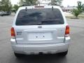 2005 Silver Metallic Ford Escape Limited 4WD  photo #4