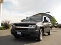 Graphite Metallic - TrailBlazer LS 4x4 Photo No. 2