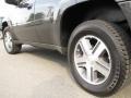 2007 Graphite Metallic Chevrolet TrailBlazer LS 4x4  photo #6