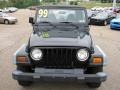 1999 Black Jeep Wrangler SE 4x4  photo #11