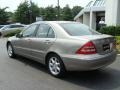 Pewter Silver Metallic - C 320 4Matic Sedan Photo No. 6