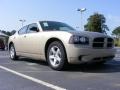 Light Sandstone Metallic - Charger SE Photo No. 4