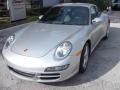 Arctic Silver Metallic - 911 Carrera 4 Coupe Photo No. 4