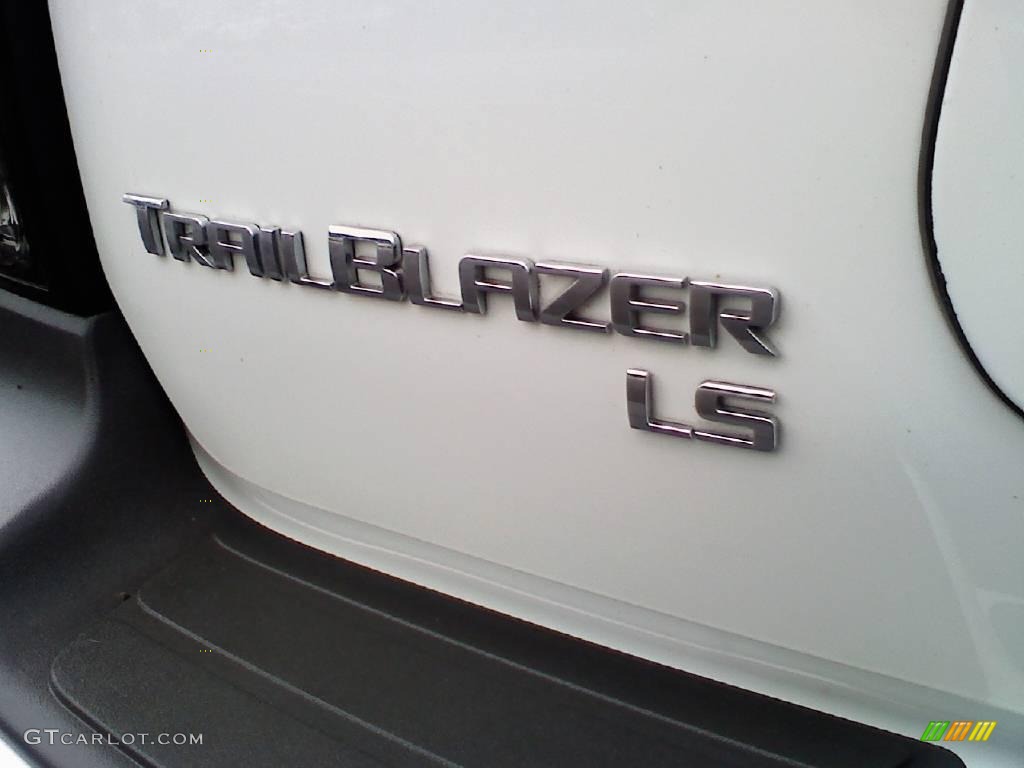 2006 TrailBlazer LS 4x4 - Summit White / Light Gray photo #19