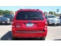 2009 Sangria Red Metallic Ford Escape XLT V6  photo #4