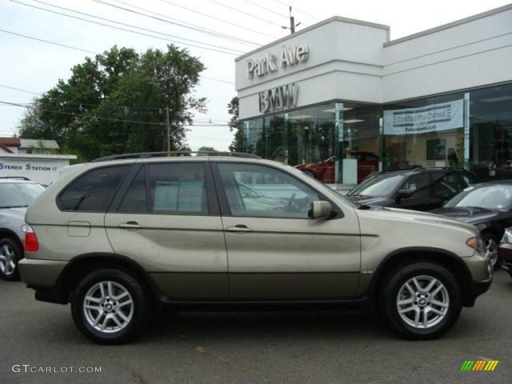 2006 X5 3.0i - Olivin Green Metallic / Truffle Brown Dakota Leather photo #1