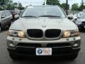 Olivin Green Metallic - X5 3.0i Photo No. 3