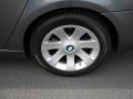 2007 Titanium Grey Metallic BMW 7 Series 750Li Sedan  photo #5