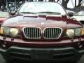 2001 Mohogany Brown Metallic BMW X5 4.4i  photo #5