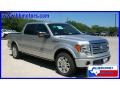 Ingot Silver Metallic - F150 Platinum SuperCrew Photo No. 3