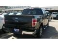 2010 Tuxedo Black Ford F150 XLT SuperCrew  photo #3