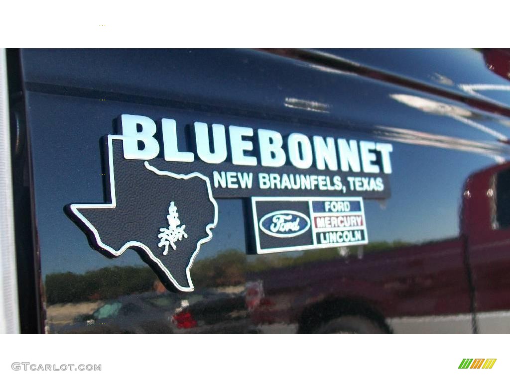 2010 F150 XLT SuperCrew - Tuxedo Black / Medium Stone photo #10