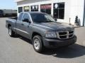 Mineral Gray Metallic - Dakota SXT Extended Cab 4x4 Photo No. 18