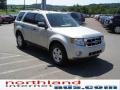 2009 Brilliant Silver Metallic Ford Escape XLT 4WD  photo #4