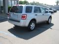 Silver Metallic - Escape XLT Photo No. 4