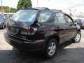 Black Onyx - RX 300 AWD Photo No. 5
