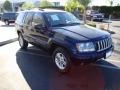 Midnight Blue Pearl - Grand Cherokee Laredo Photo No. 4