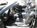 Black - CLK 350 Cabriolet Photo No. 14