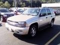 2007 Silverstone Metallic Chevrolet TrailBlazer LS 4x4  photo #3