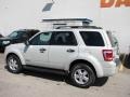 2008 Light Sage Metallic Ford Escape XLT V6 4WD  photo #3