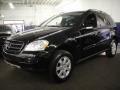 Black - ML 350 4Matic Photo No. 1