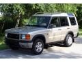 2000 White Gold Land Rover Discovery II   photo #51