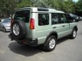 2003 Vienna Green Land Rover Discovery S  photo #4