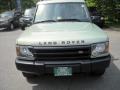 2003 Vienna Green Land Rover Discovery S  photo #6