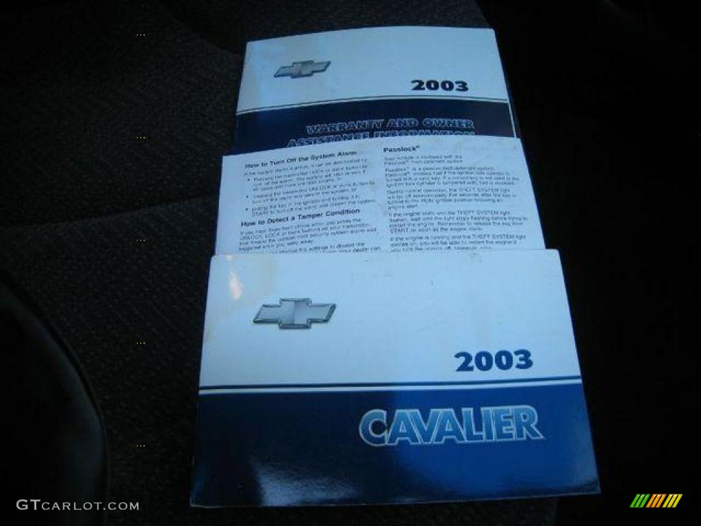 2003 Cavalier LS Sedan - Ultra Silver Metallic / Graphite Gray photo #38