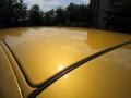 Inca Gold Pearlcoat - PT Cruiser Dream Cruiser Series 1 Photo No. 35