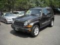 2005 Dark Khaki Pearl Jeep Liberty Limited 4x4  photo #1