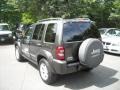 2005 Dark Khaki Pearl Jeep Liberty Limited 4x4  photo #3