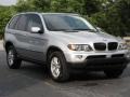 2005 Titanium Silver Metallic BMW X5 3.0i  photo #55