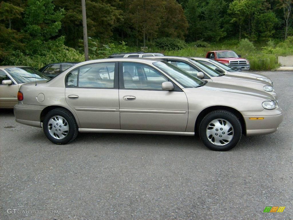 1998 Malibu Sedan - Sandrift Metallic / Medium Oak photo #4