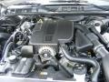 Silver Birch Metallic - Grand Marquis GS Photo No. 10