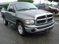 2005 Mineral Gray Metallic Dodge Ram 1500 SLT Regular Cab  photo #5