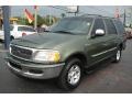Vermont Green Metallic 1998 Ford Expedition XLT