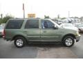 1998 Vermont Green Metallic Ford Expedition XLT  photo #3