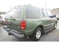 1998 Vermont Green Metallic Ford Expedition XLT  photo #6